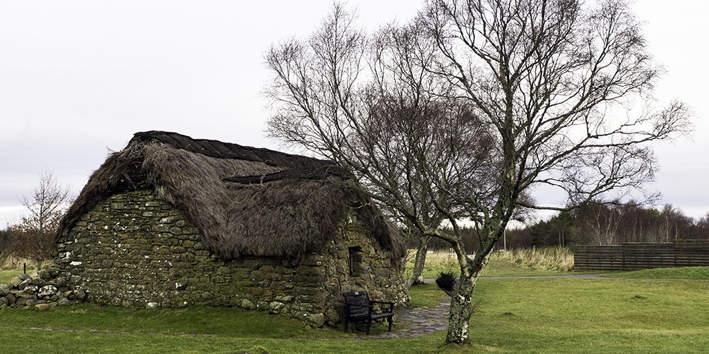 A small thatched building on a grassy area, next to a tree